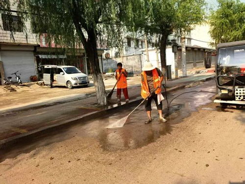 雨后洗城焕新颜 单县环卫中心强化环境卫生与公共设施安装服务