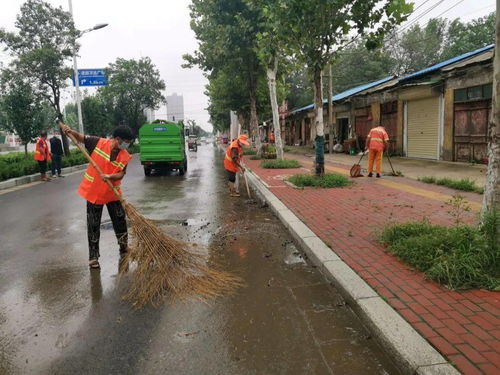 商丘环卫部门开展道路深度清洗与设施安装服务 全面提升市容环境品质